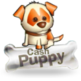 Cash Puppy by Saucify