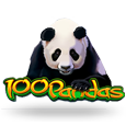 100 Pandas by IGT