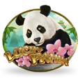Lucky Panda by Playtech