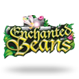 Enchanted Beans by NextGen