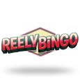 Reely Bingo by Leander Games