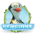 Penguins by Cayetano