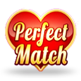 Perfect Match by Wizard Games