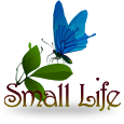 Small Life by B3W