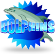 Dolphins by B3W