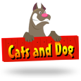 Cats & Dog by B3W
