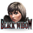 Black Widow by IGT
