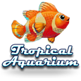 Tropical Aquarium