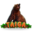 Taiga by playson
