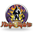 Ninja Spirit