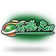Turtle Run