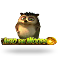 Into the Woods