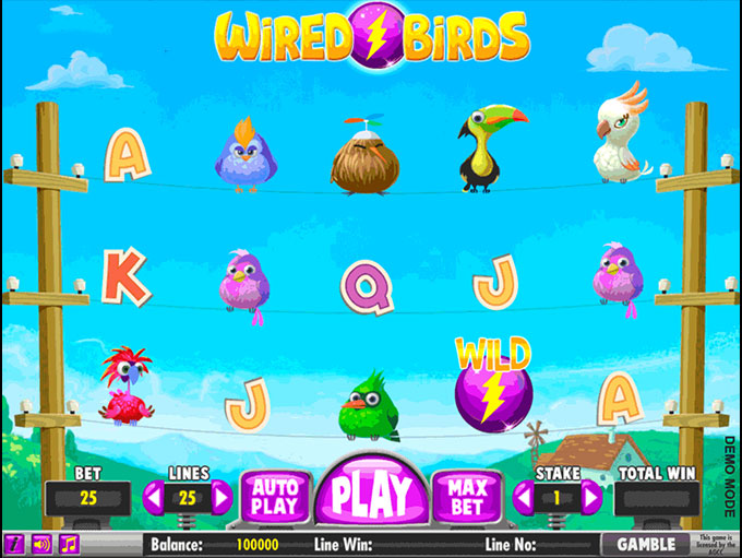 Wired Birds by Daub