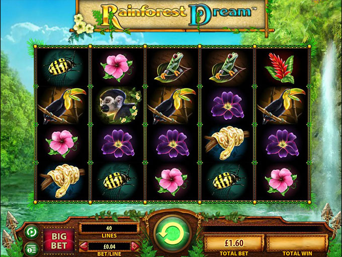Rainforest Dream by WMS