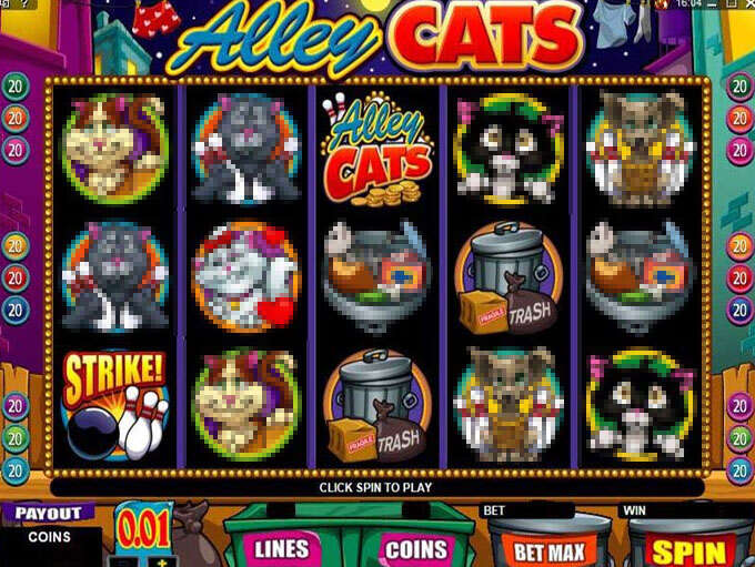 Alley Cats by Games Global