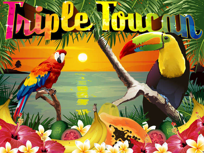 Triple Toucan by Real Time Gaming