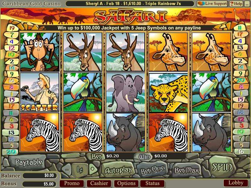 Safari by Wager Gaming