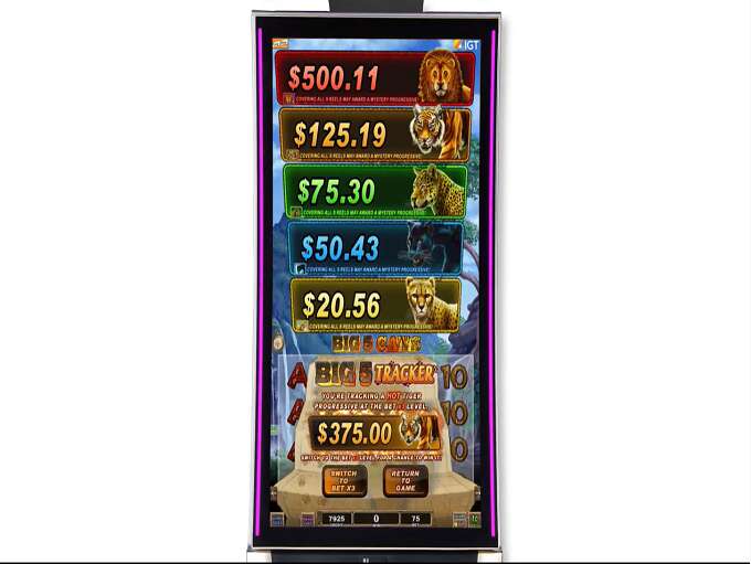 Big 5 Cats by IGT