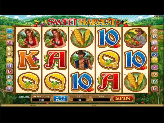 Sweet Harvest by Games Global