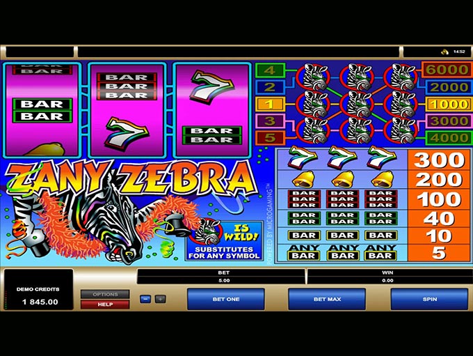 Zany Zebra by Games Global