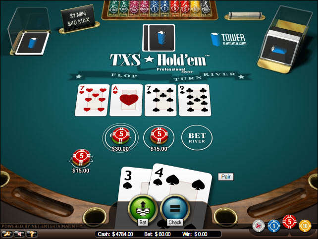 Texas Hold'em Pro by Net Entertainment