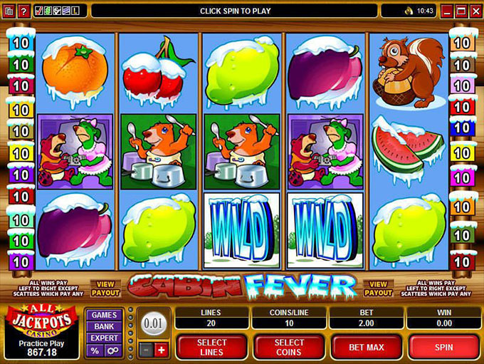 Cabin Fever gameplay screenshot