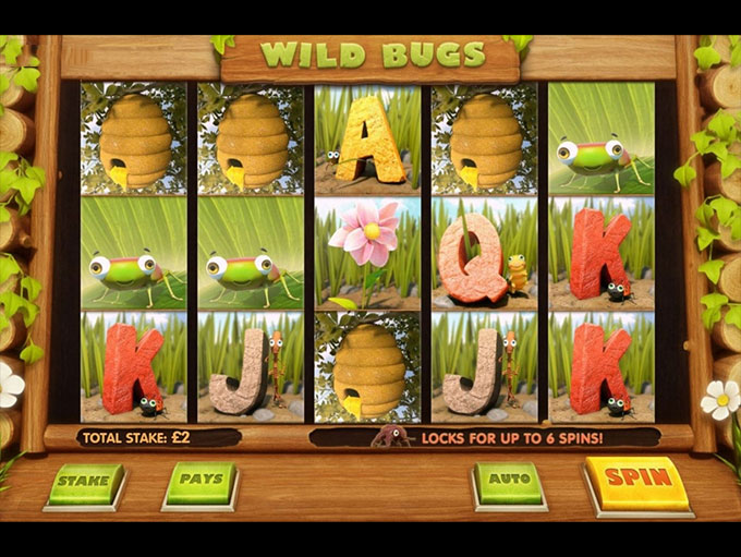 Wild Bugs by Cayetano