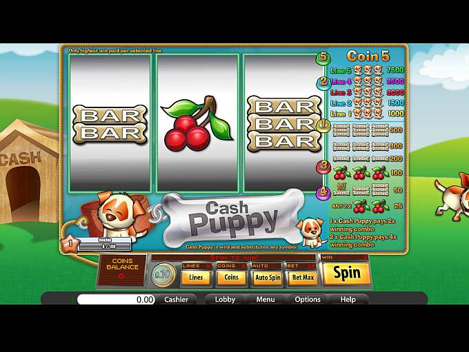 Cash Puppy by Saucify