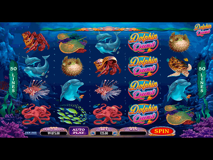 Dolphin Quest gameplay screenshot