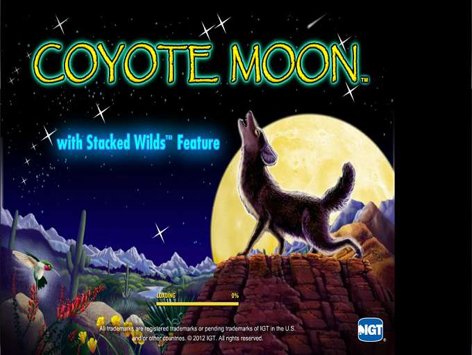 Coyote Moon by IGT