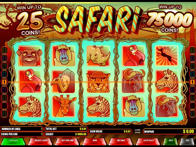 Safari by B3W