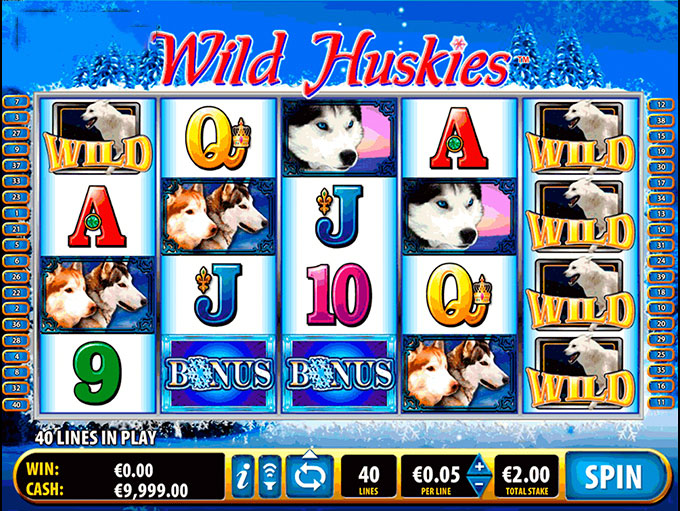 Wild Huskies by Bally Technologies