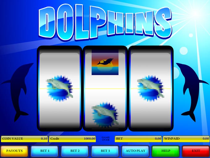 Dolphins by B3W