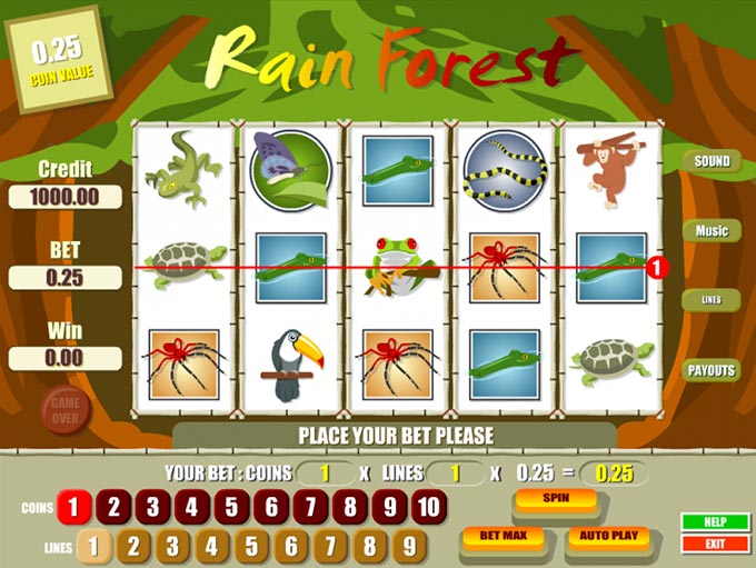 Rain Forest by B3W