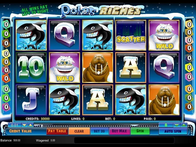 Polar Riches by Amaya
