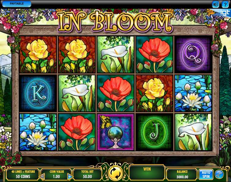 In Bloom by IGT
